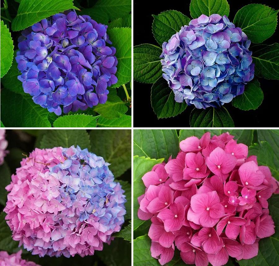 儿童画水粉画教学简单6-9岁风景画,水粉画太阳儿童简单教程