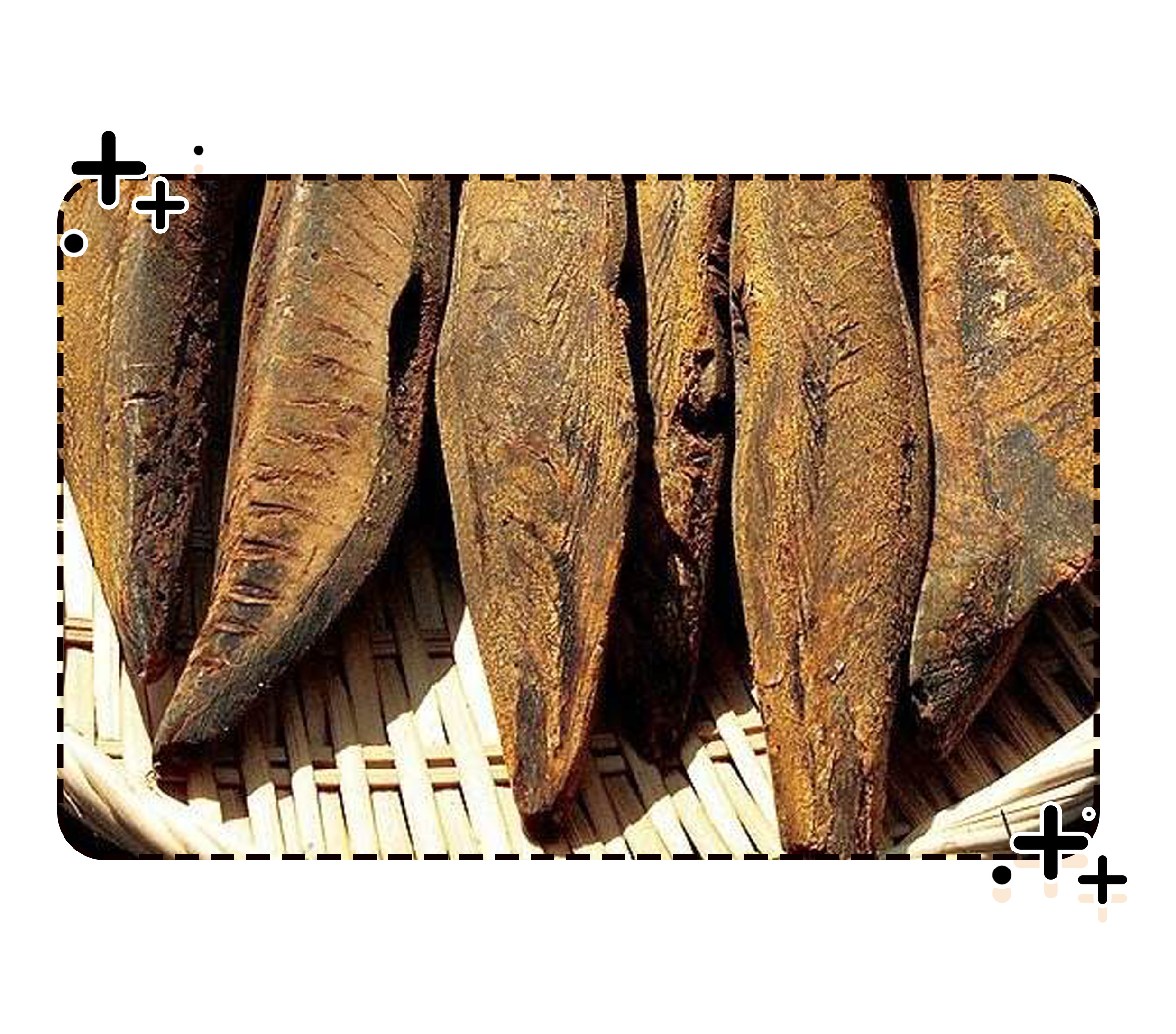 世界上最硬的食物柴鱼,世界上最费劲的食物