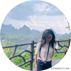 猫咪呕吐没消化的猫粮怎么办,go九种肉猫粮猫什么阶段能吃