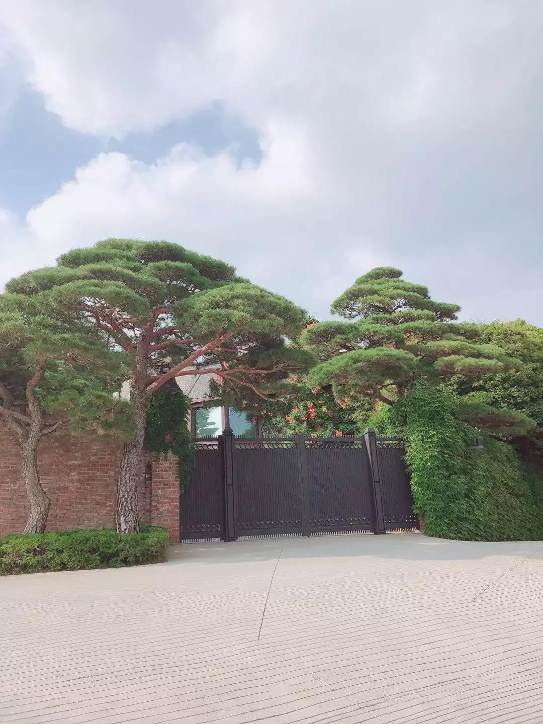 首尔游玩探店攻略,韩国首尔最好的店