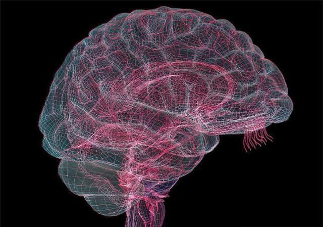 全脑开发中家长、老师的13问答