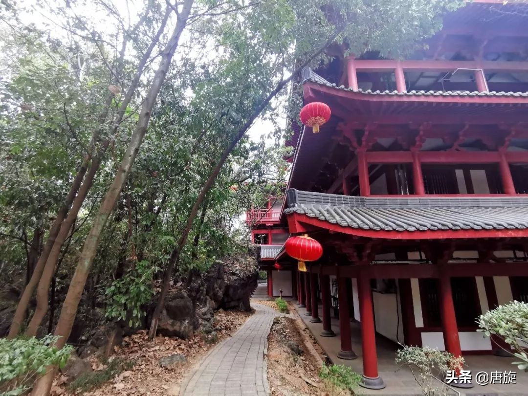 深山里的神秘学校,隐藏在大山深处一所神秘的学校