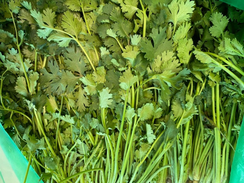 免费代购蔬菜还免费送酒精，这样的老板还有人骂？