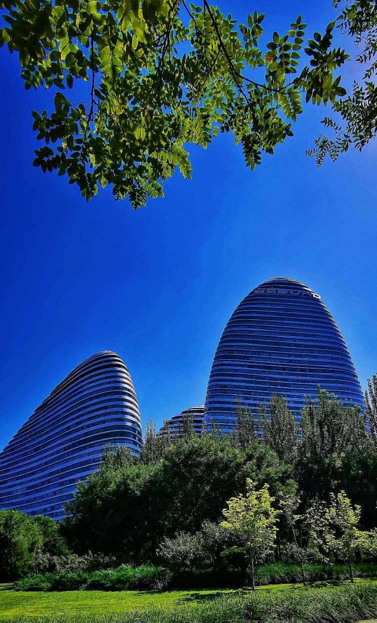 鍖椾含绉樺,鍖椾含绉樺涔嬫梾