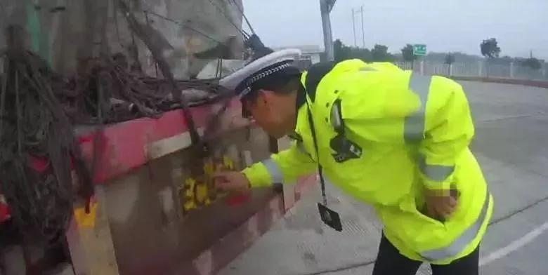 315打假的车子名单,315打假车型