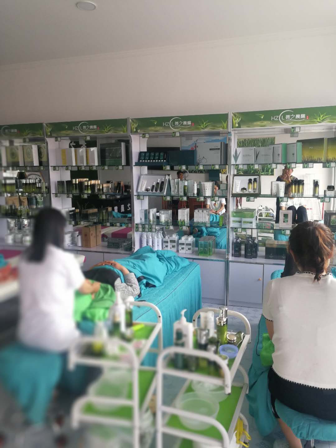 芦荟植物盆栽稀有,芦荟稀有品种老桩