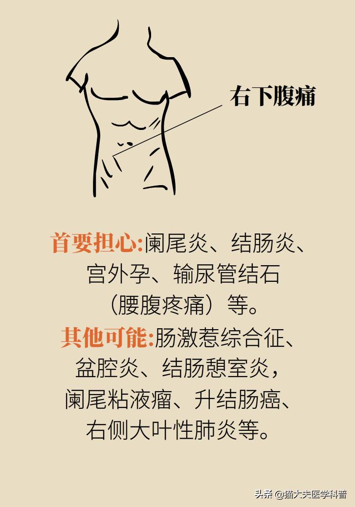 突然毫无征兆的肚子疼怎么办,肚子疼不是胃的问题还可能是什么