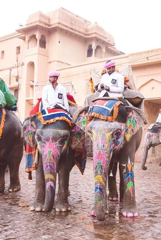 中国至今没被认全的20个邻居,个个身怀宝藏,你知道几个?