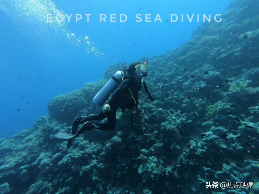 生如夏花绚烂死如落叶精美字体,生如夏花绚烂死如秋叶静美英语