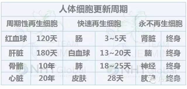 营养素与身体的各种症状关系,营养素改善免疫力