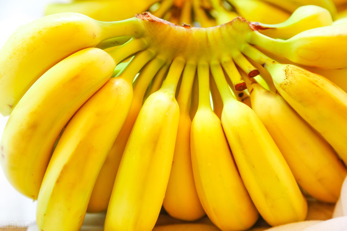 香蕉3块一斤赚钱吗,10元五斤的香蕉可以挣多少