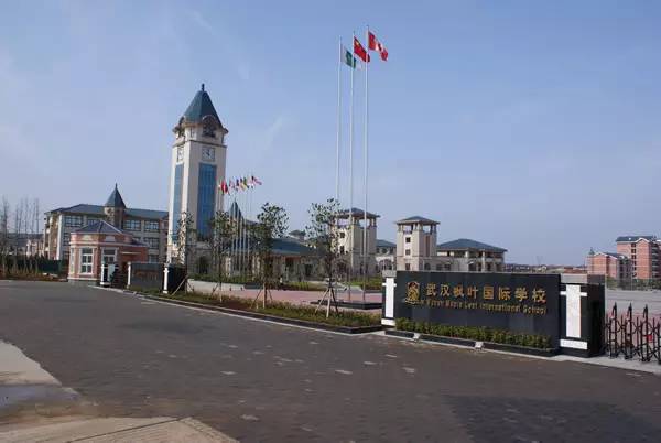 武汉土豪多的大学,武汉超级难进的七大贵族学校