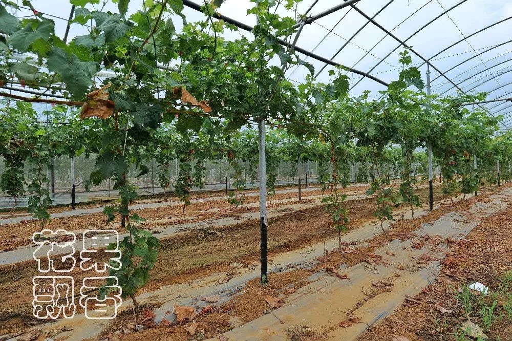 为什么大家都喜欢蹦迪,为什么喜欢跳坑