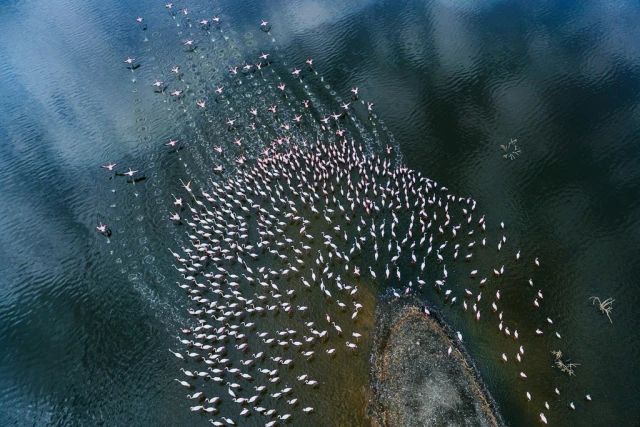 第26届奥地利摄影展,奥地利超级摄影巡回赛28年回顾展