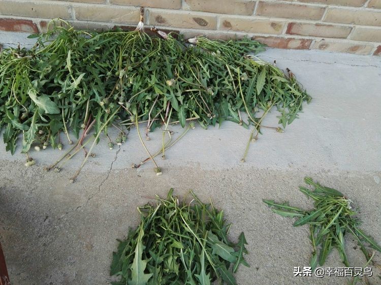 没有过不去的困难只是暂时的,心中有希望所以不再有哭泣