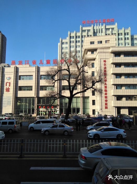 哈尔滨市内环境,哈尔滨一年四季的现状