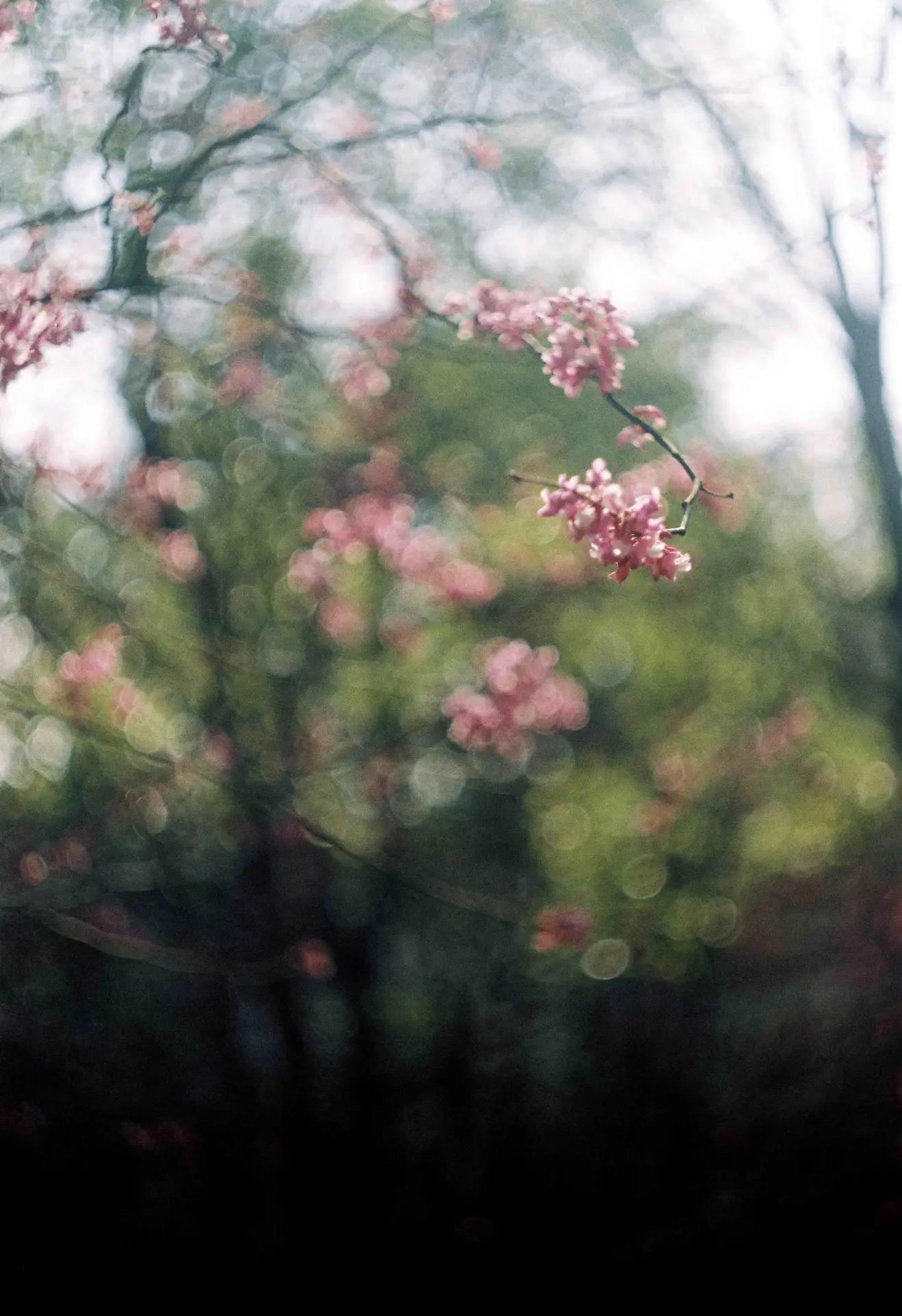 是谁发明了彩色相机,康泰时相机发展史