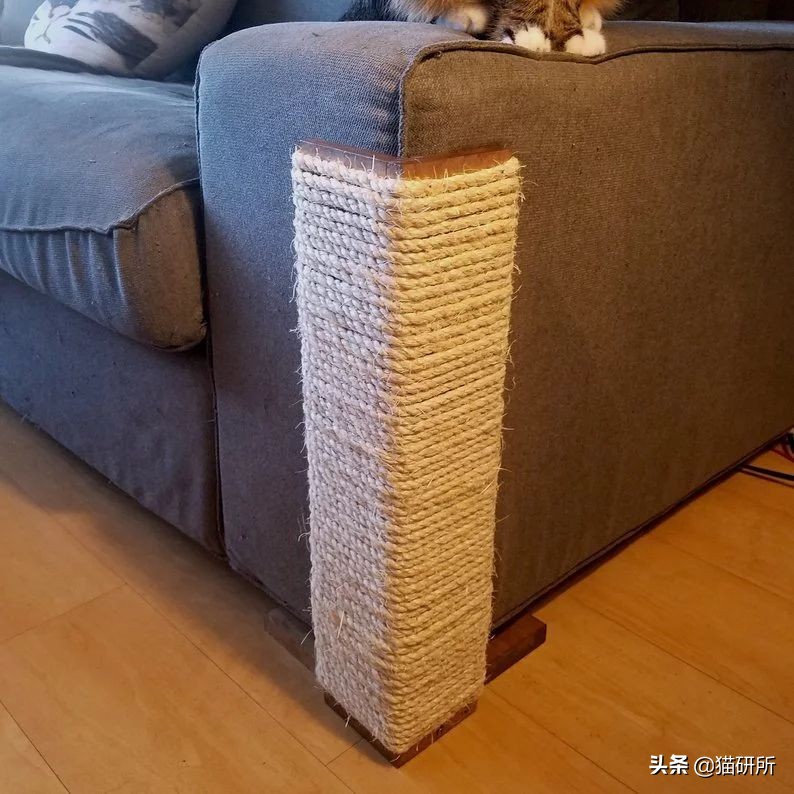 怎样挑选猫抓板,什么板材适合做猫抓板