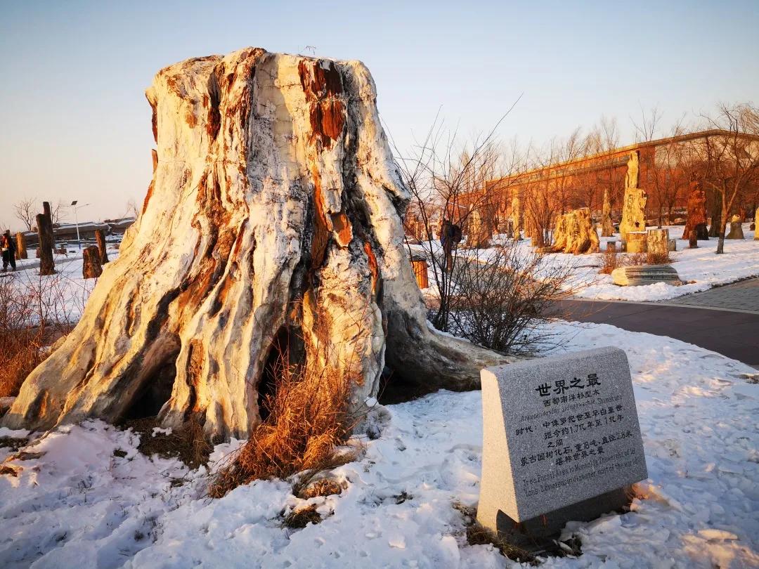 初见长春,第一次雾凇之旅不虚此行