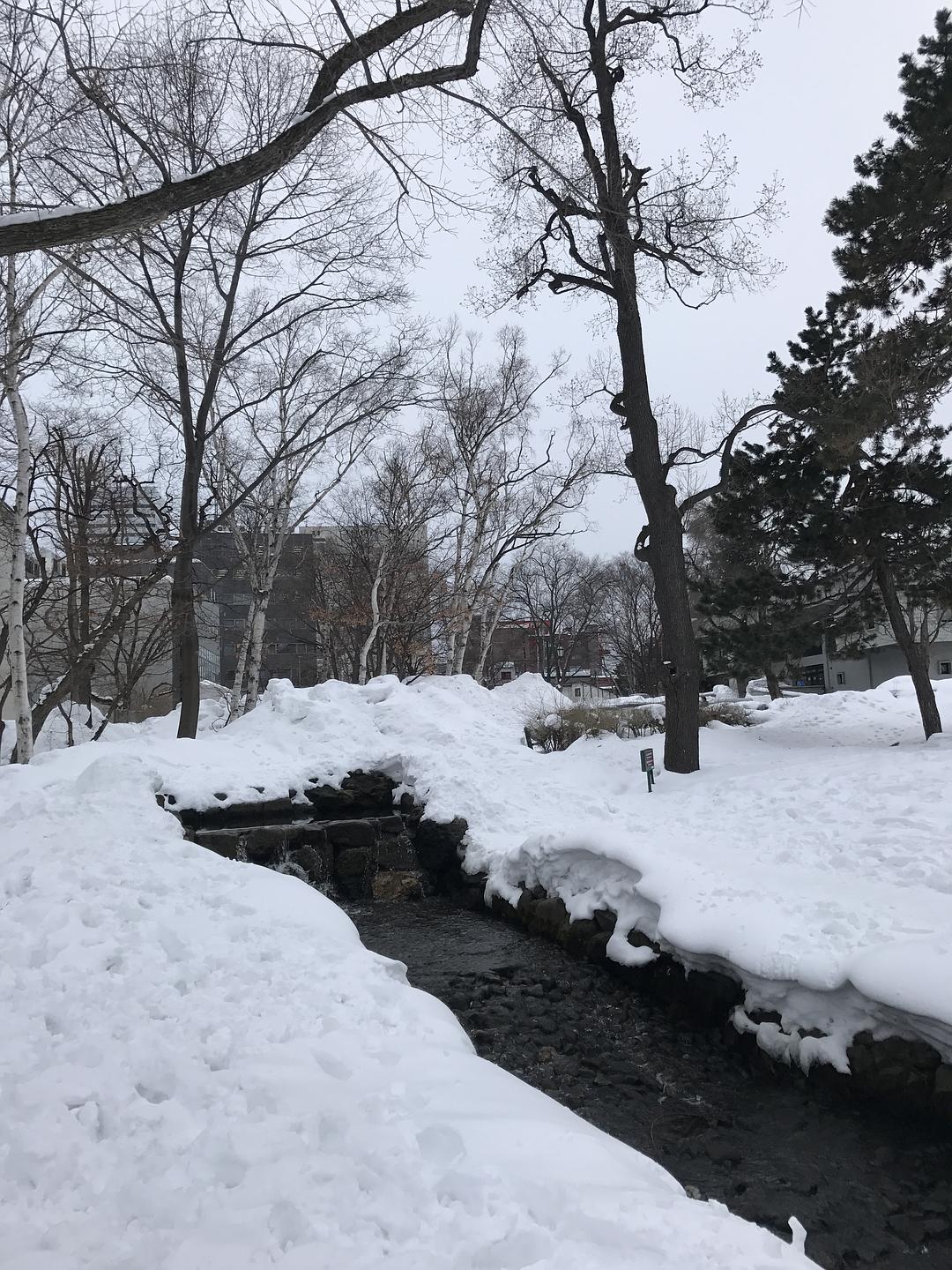 冬日里的童话,冬天里的童话小故事