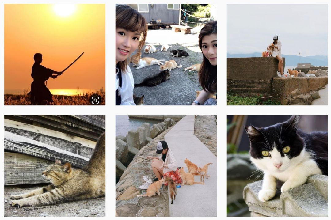 在日本坐火车是什么感觉,在日本坐火车是什么体验