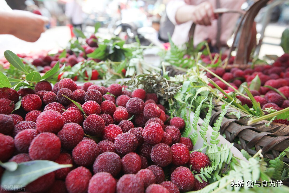 夏天的第一坛杨梅酒,杨梅酒怎么泡好喝又简单