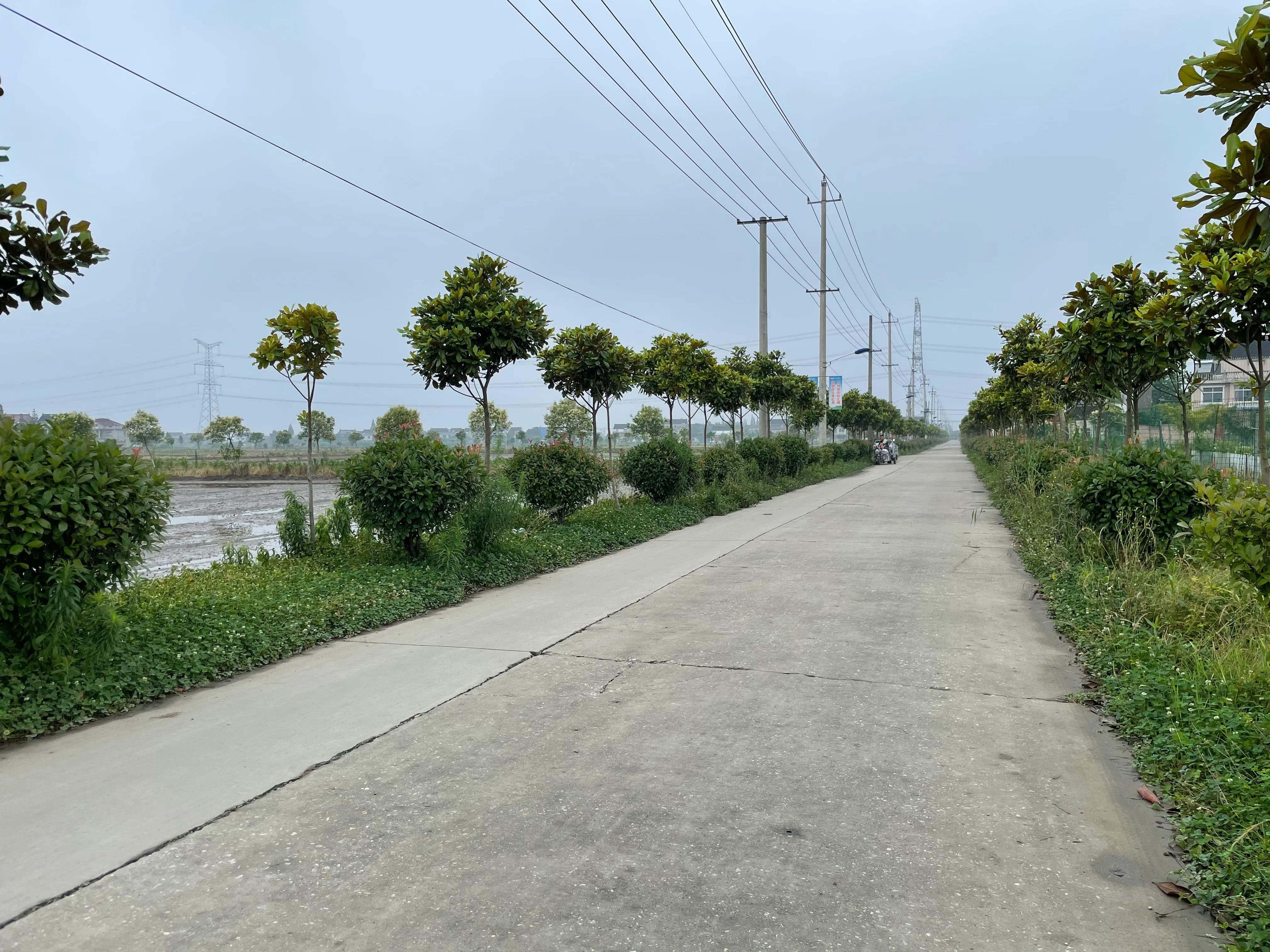 家乡门前的田野,家乡门前的一条河