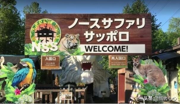 日本最危险的动物园进去视频,日本生死状动物园