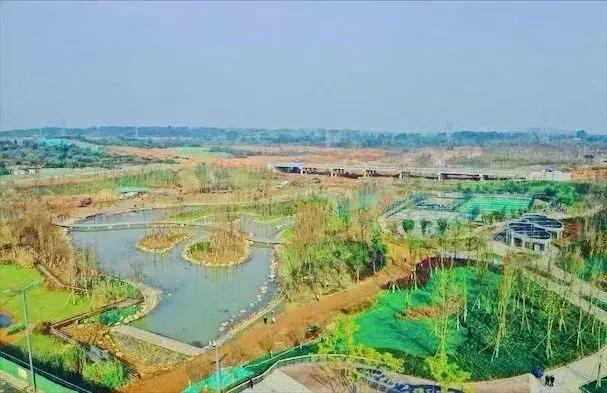 双流夜景必打卡之地,成都双流免费打卡景点