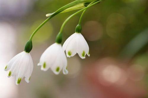 鼓励自己努力的语句励志,积极努力励志的说说简短