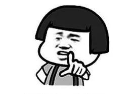 小猫被箭射伤后续,小猫被打伤了腿