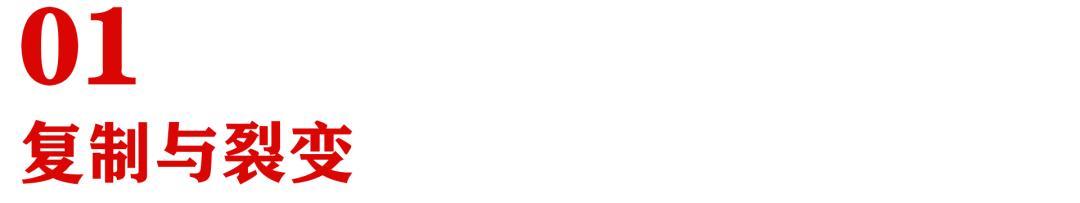 加盟项目的运营模式,公司与电商平台运营如何合作