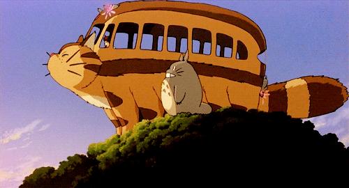 不可思议的奇葩冷知识,十大不可思议冷知识的书