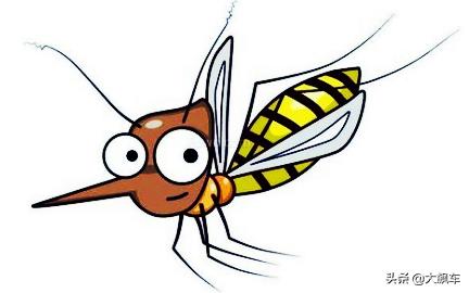 车里进蚊子如何快速清理,车里进很多蚊子怎么办最简单方法