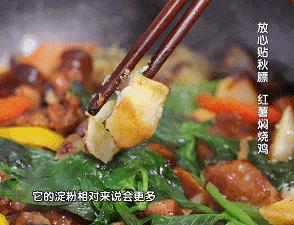 天一冷就想吃点热乎的,最好吃的焖锅的做法