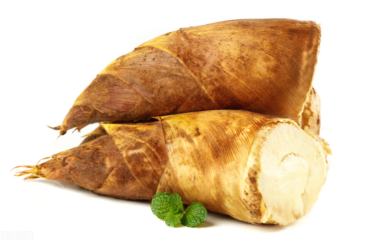 冬笋多钱一斤,冬笋从哪里长出来好吃