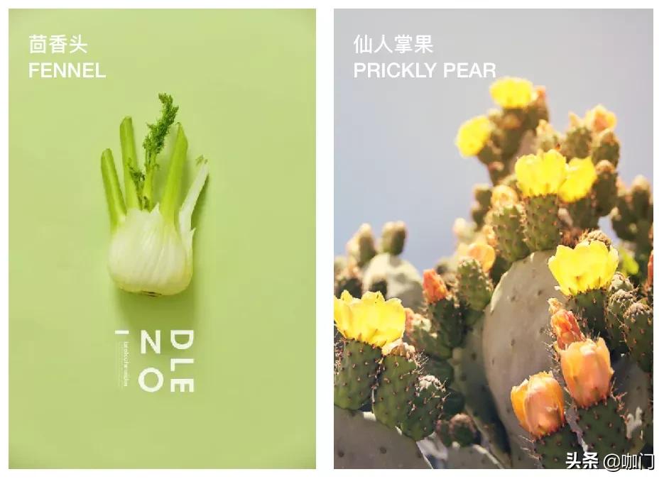 开纯果汁饮品店,鲜榨果汁店利润