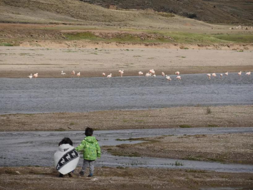 他叫辛巴，不是狮子王，8岁穿越12国：最好的教育，永远在路上