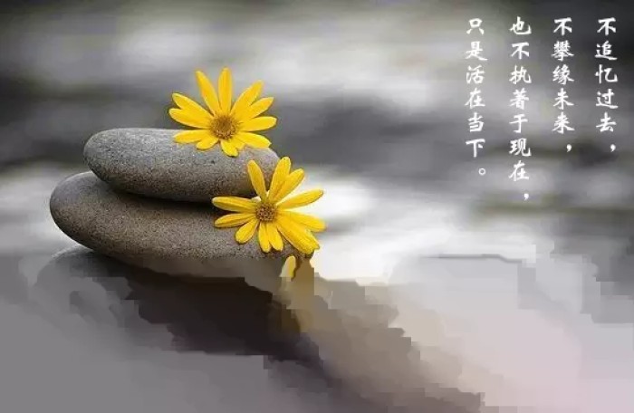 正念是什么力量,世界500强推崇正念