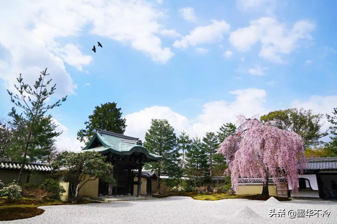 京都一眼千年的美景,京都永恒的美