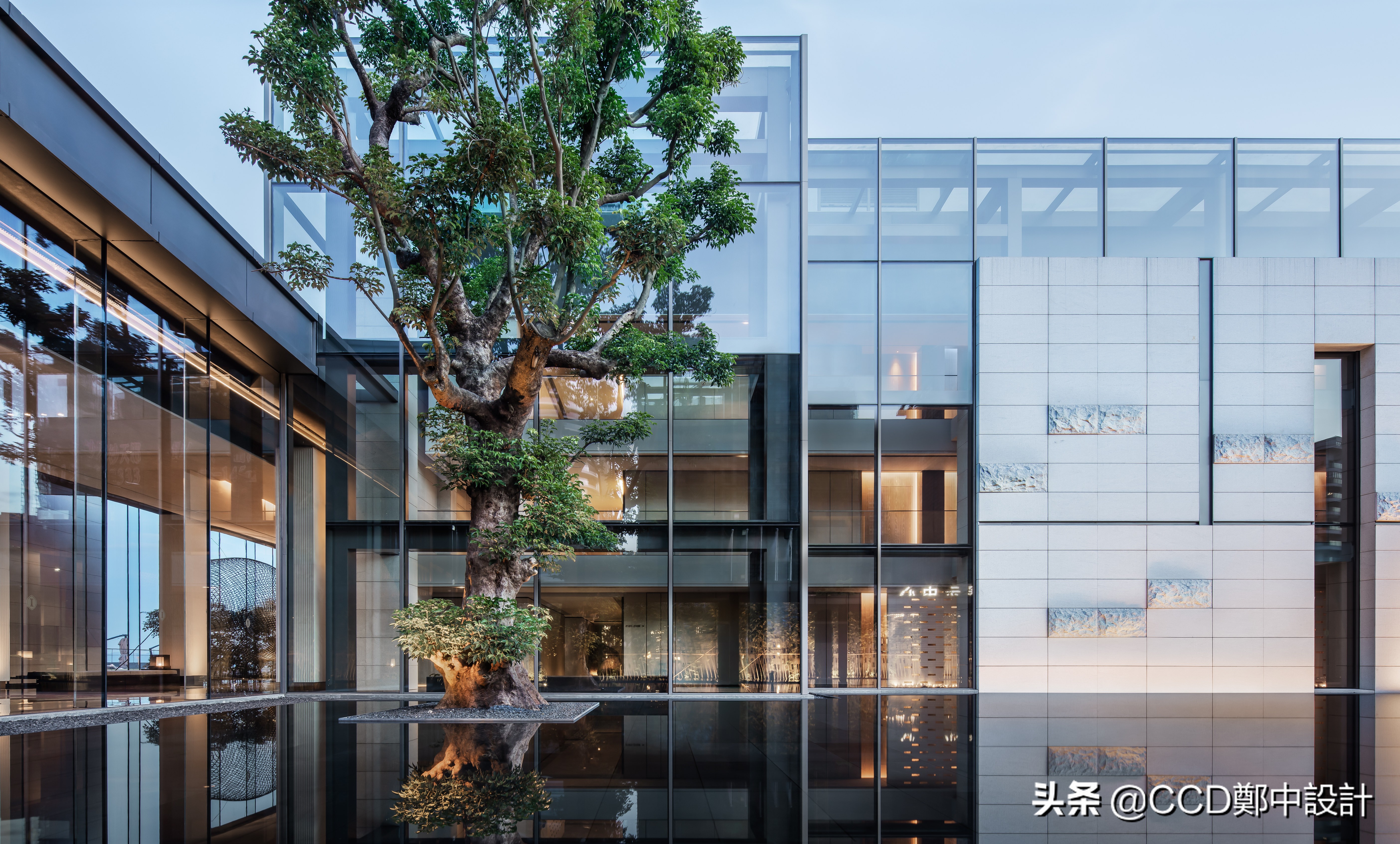 ccd最新酒店,ccd深圳最新酒店设计案例