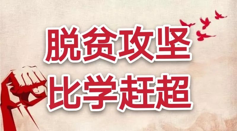 德祥农业种植开发,德祥农业大项目