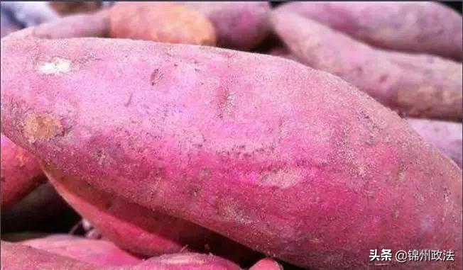 辽宁中国特色农产品优势区名单,辽宁特色农产品品牌有哪些