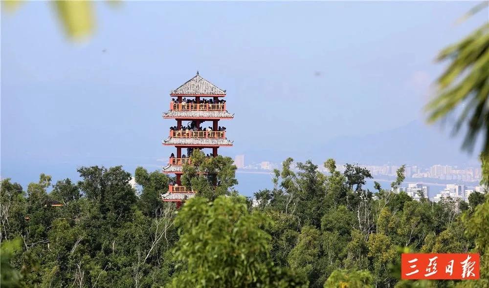 留在厦门过年吧,一个人去三亚过春节