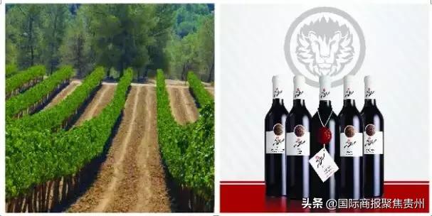 以色列邀请函,贵州酒博会品鉴好酒