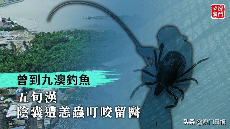 男子阴囊遭恙虫叮咬住院，曾到九澳油库钓鱼