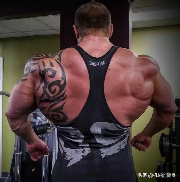 健身美背小背心一体式推荐,在健身房想练腿练哪些