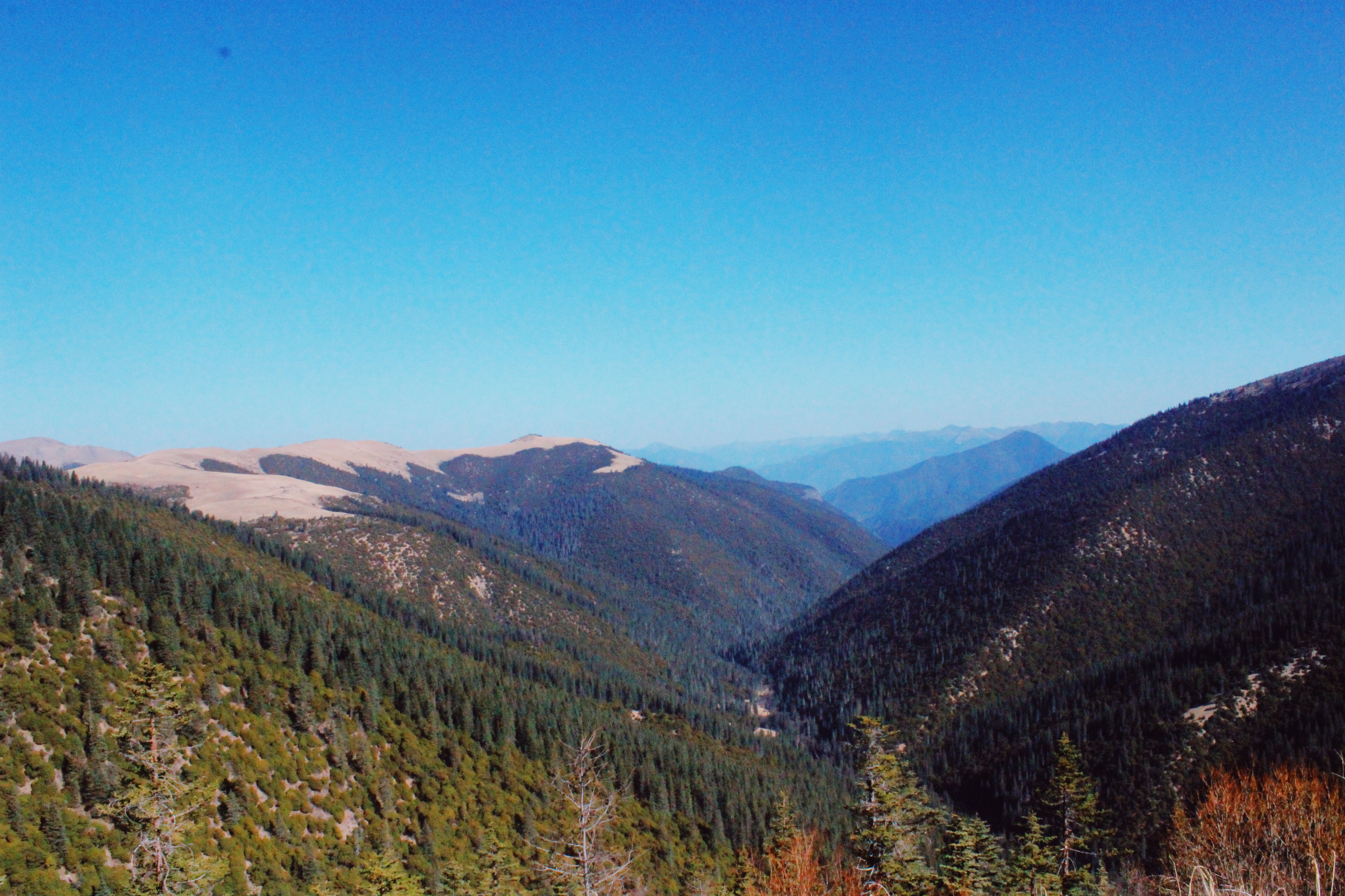 g318骑行上海,自驾g318川藏线分享沿途美景