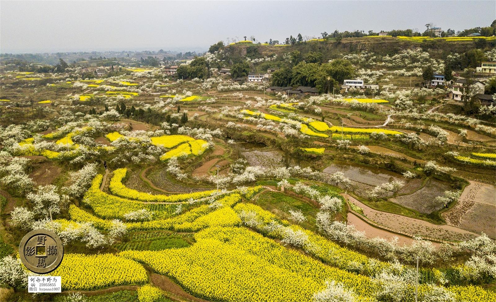 广安撤县名单查询,70年广安县有多少个人民公社