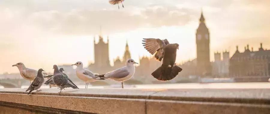 海外置业性价比高的楼盘,海外置业热门城市排名